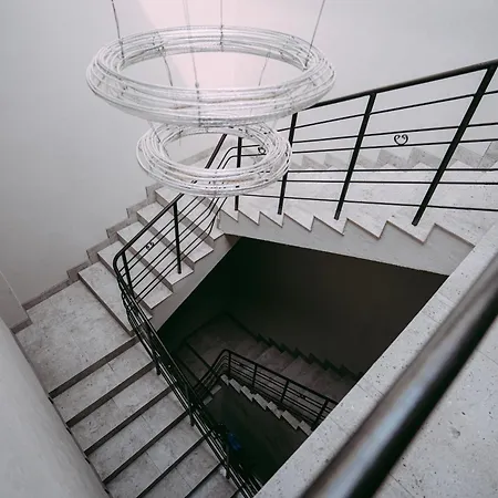 Gold Ptak Nowy Sącz